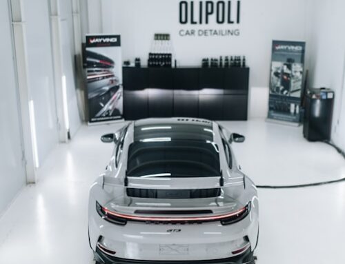 Maximizing E-commerce Support for Car Care Brands